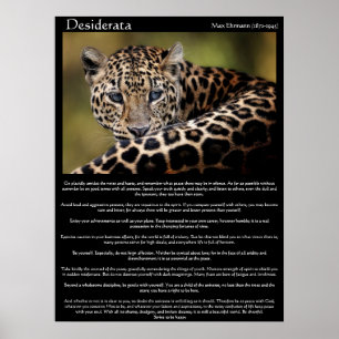 Desiderata Posters 8 Poster