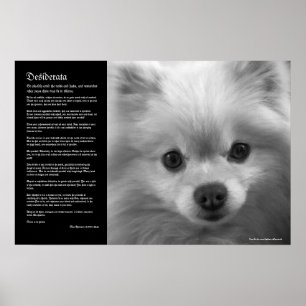 Desiderata - Puppy Art Spitz Poster