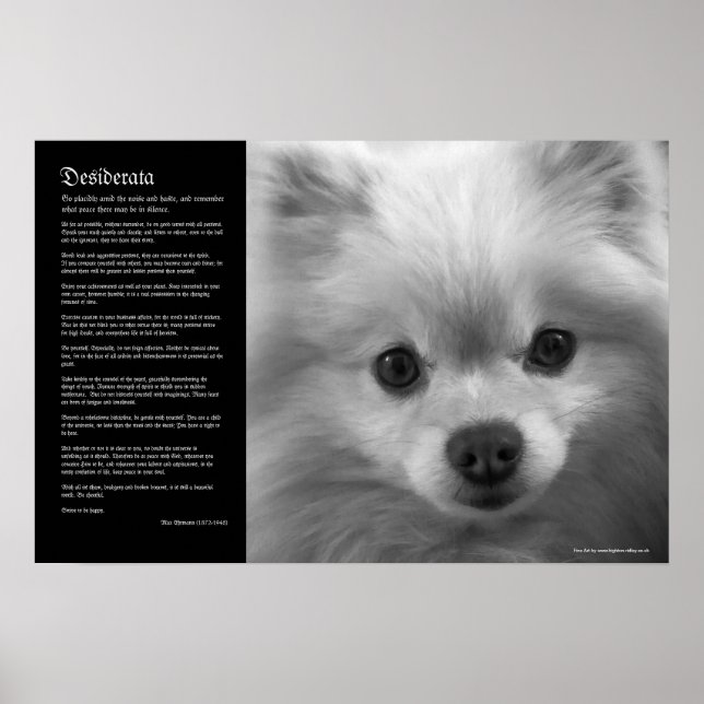 Desiderata - Puppy Art Spitz Poster (Vorne)
