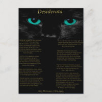Desiderata schwarze Katze mit ihren türkisfarbenen