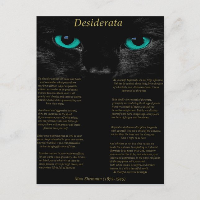 Desiderata schwarze Katze mit ihren türkisfarbenen Postkarte (Vorderseite)