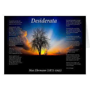 Desiderata-Silhouette eines Weidenbaums