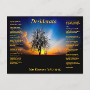 Desiderata-Silhouette eines Weidenbaums Postkarte