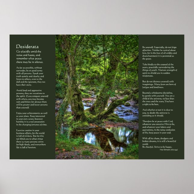 Desiderata - Spitchwick Creek Trees Poster (Vorne)