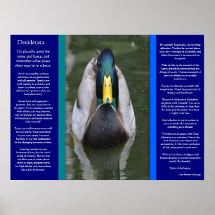 DESIDERATA sucht Duckposter Poster