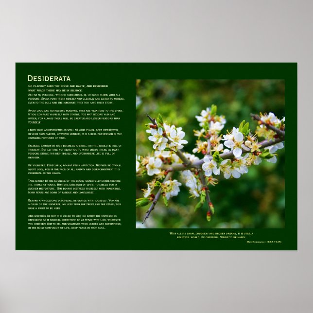 Desiderata - Sun-Dappled Spring Hawthorn Poster (Vorne)