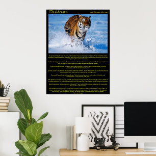 Desiderata Tiger in Wasserpostern Poster