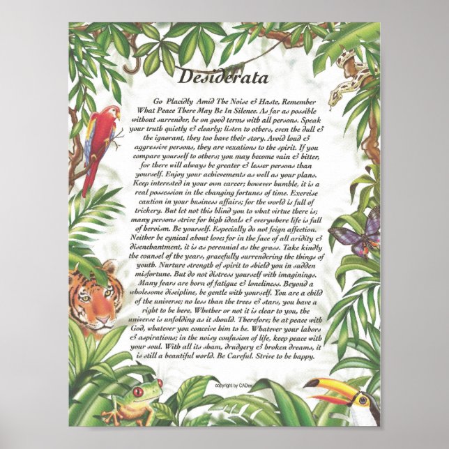 DESIDERATA Tropenwald Poster (Vorne)