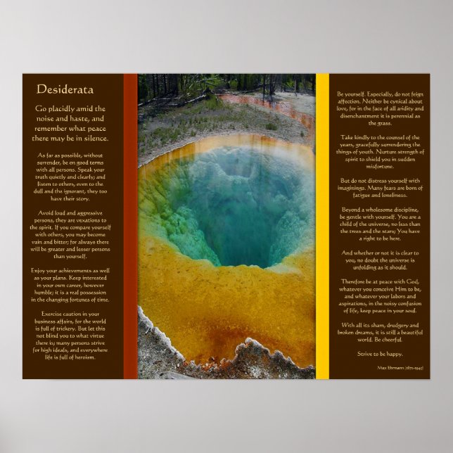 DESIDERATA Wasserloch Poster (Vorne)
