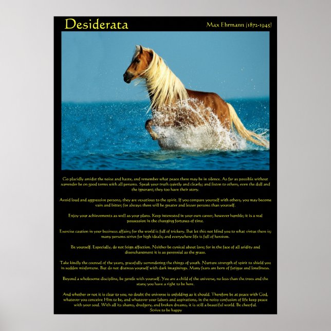 Desiderata Water Horse Posters Poster (Vorne)