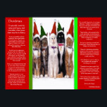 DESIDERATA Weihnachtskatzen Plakate<br><div class="desc">Die ganze Desiderata von Max Ehrmann: Gehe ruhig inmitten von Lärm und Eile... mit einem atemberaubenden Blick auf Weihnachtskatzen mit rot-grünen Hüten, die nebeneinander mit weißem Hintergrund sitzen. Die Verse sind jung, erwachsen seit den 1920er Jahren inspiriert und sind heute so beliebt wie heute. Es wurde als Geschenk von liebevollen...</div>