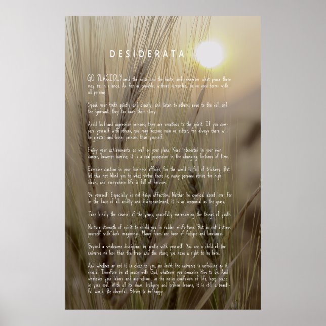 DESIDERATA Wheat Field Poster (Vorne)