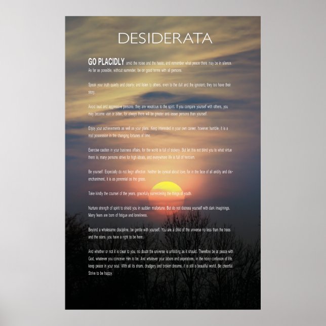 DESIDERATA Winter Sun Poster (Vorne)