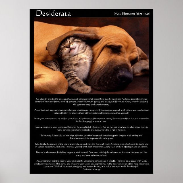 Desiderata Young Liebe Posters 2 Poster (Vorne)