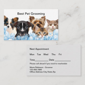 Design der besten Pet Grooming Cards Terminkarte