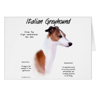 Design der Geschichte Italiens