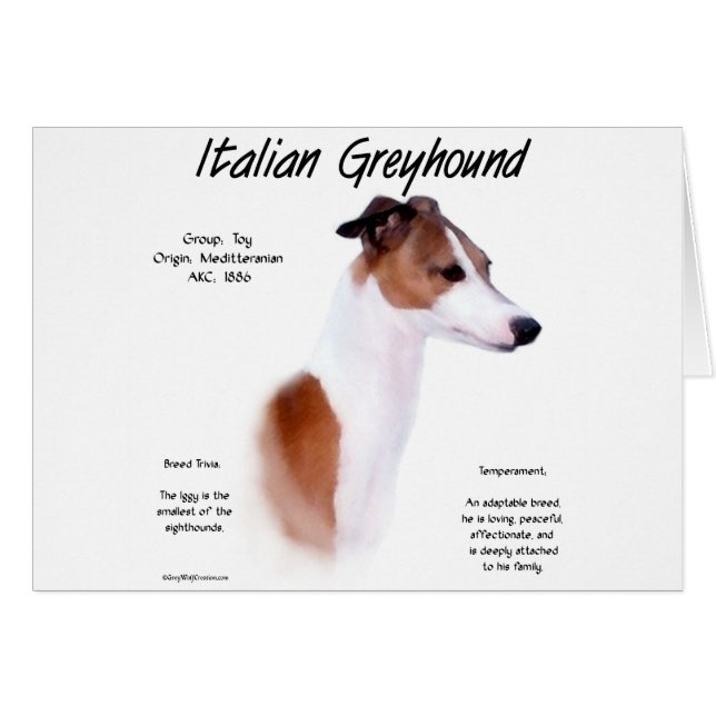 Design der Geschichte Italiens (Vorderseite (Horizontal))
