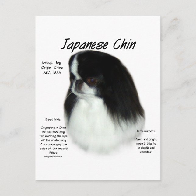 Design der japanischen Chirurgeschichte Postkarte (Vorderseite)