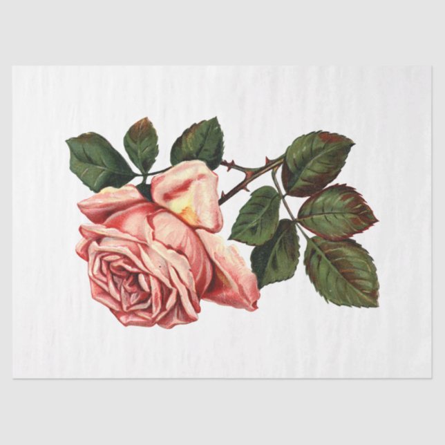 Design der Queen Bee Series 63 Seidenpapier (Vorderseite)