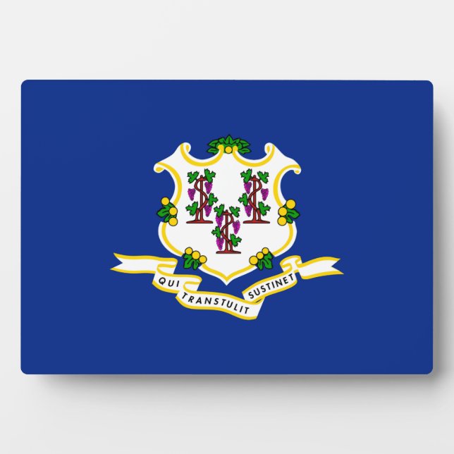 Design der Verbindungsstatusflagge Fotoplatte (Vorderseite)
