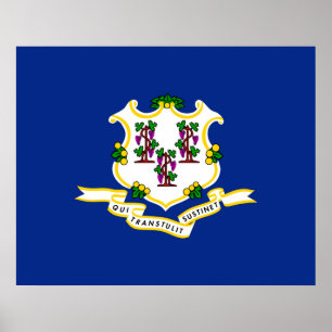 Design der Verbindungsstatusflagge Poster