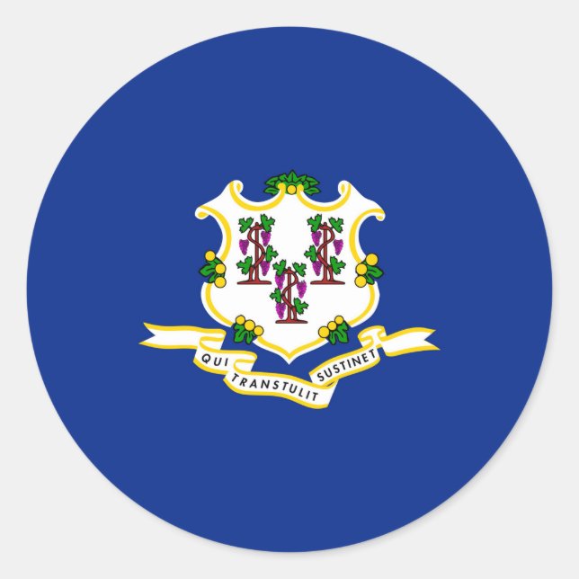 Design der Verbindungsstatusflagge Runder Aufkleber (Vorderseite)