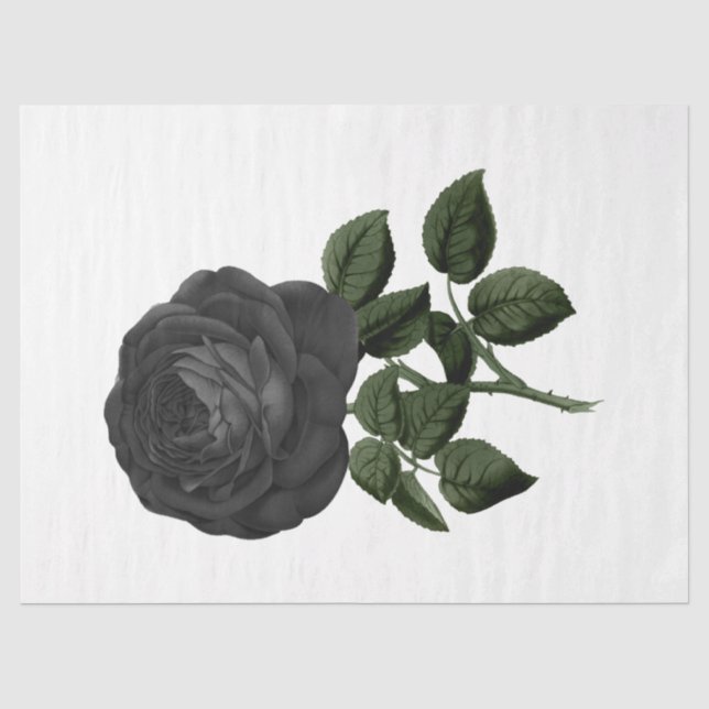 Design der Vintagen Rose 31 Seidenpapier (Vorderseite)