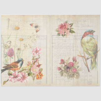 Design der Vintagen Vogelserie 4 Seidenpapier