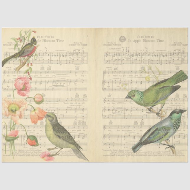 Design der Vintagen Vogelserie 5 Seidenpapier (Vorderseite)