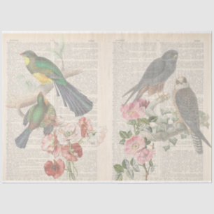Design der Vintagen Vogelserie 6 Seidenpapier