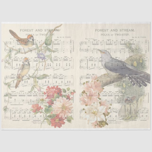 Design der Vintagen Vogelserie 7 Seidenpapier (Vorderseite)
