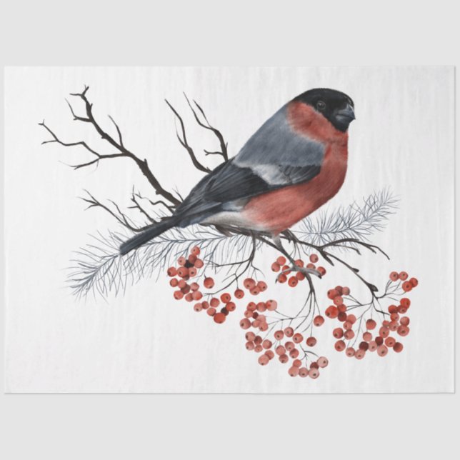 Design der Weihnachtsbird-Serie 7 Seidenpapier (Vorderseite)