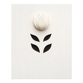 Design der weißen Blume Fotodruck