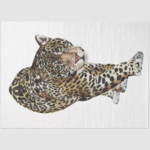 Design der Wildkatzen der Serie 3 Seidenpapier