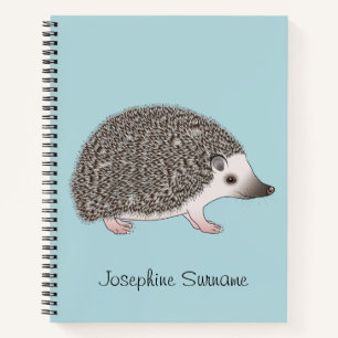 Design des ASP-Igel-Cartoon auf blau Notizbuch