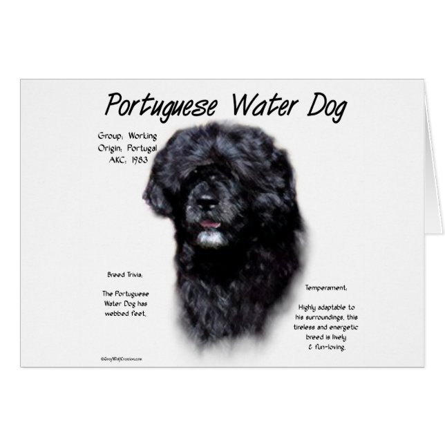 Design des portugiesischen Wasserhundes (Vorderseite (Horizontal))