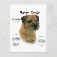 Design für den Verlauf von Border Terrier