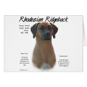 Design für die Geschichte von Rhodesian Ridgeback