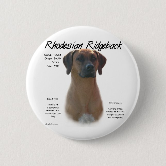Design für die Geschichte von Rhodesian Ridgeback Button (Vorderseite)