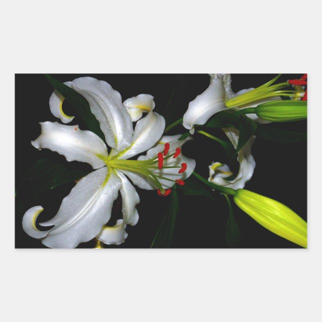 Design für irische Blume Rechteckiger Aufkleber (Vorderseite)