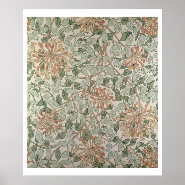 Design "Honeysuckle II" Poster (Vorne)