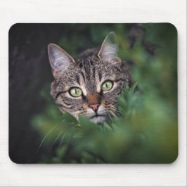 Design - Neugierige Katze Mousepad