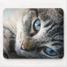 Design - Niedliche Katze Mousepad