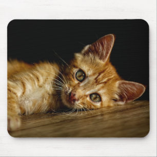 Design - Niedliches Kätzchen Mousepad