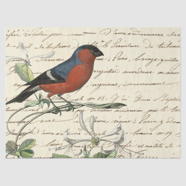 Design One der Ephemeride Birds Serie Seidenpapier (Vorderseite)