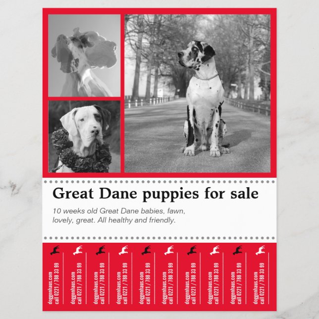 Design Selling Puppy Flyer (Vorne)