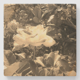 Design-Stil aus Stein-Untersetzer Steinuntersetzer