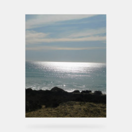 Design-Stil der Akryllischen Schildkröte Acrylschild