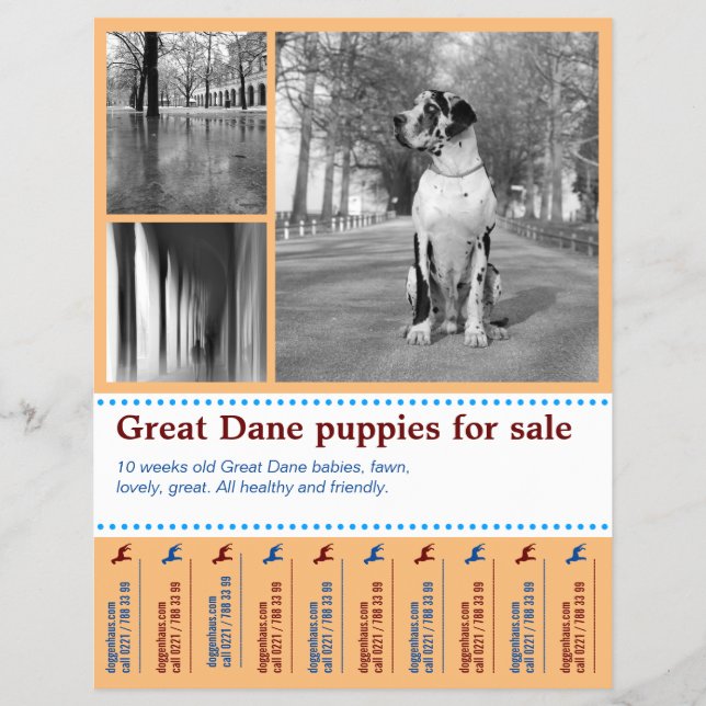 Design Verkaufshund Flyer (Vorne)