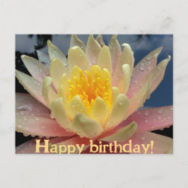 Design/Wasserlilie, Nymphaeum/Happy Birthday/ Feiertagspostkarte